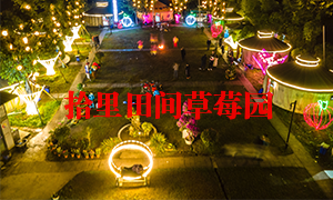 草莓左手视频APP污最新版風光