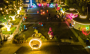 草莓左手视频APP污最新版風光